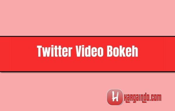 Bokeh museum twitter video wik wik korea