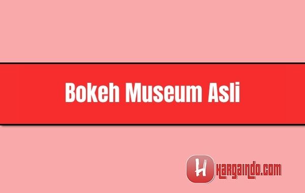 Bokeh museum