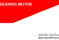 Bearing Motor