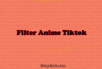 filter anime tiktok