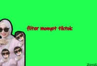 filter monyet tiktok