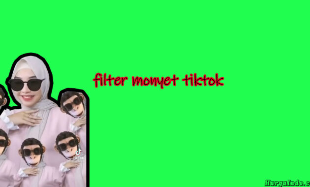 filter monyet tiktok
