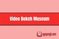 Video Bokeh Museum