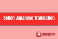 bokeh japanese translation