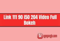 link 111 90 l50 204 video full bokeh
