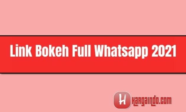 link bokeh full whatsapp 2021