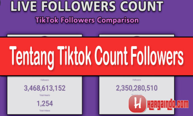 TikTok Count Followers