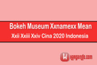Bokeh Museum Xxnamexx Mean Xxii Xxiii Xxiv Cina 2020 Indonesia