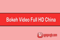 Bokeh Video Full HD