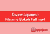 Xnview Japanese Filname Bokeh Full mp4