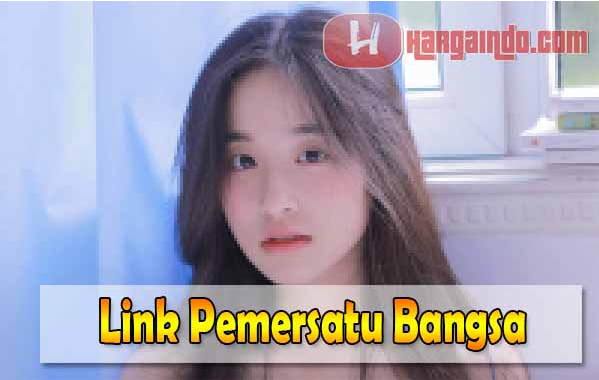 Download Link Video Pemersatu Bangsa Indonesia Facebook Kaskus Tiktok