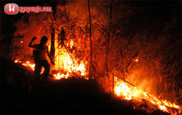 2. Kode Alam Kebakaran Hutan