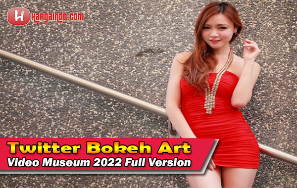 Twitter Bokeh Art Video Museum 2022 Full Version