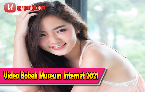 Video bokeh museum internet 2021