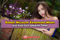 Bokeh Museum Xxnamexx Mean Xxii Xxiii Xxiv Jakarta Timur