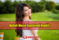 Bokeh Movie Explained Reddit