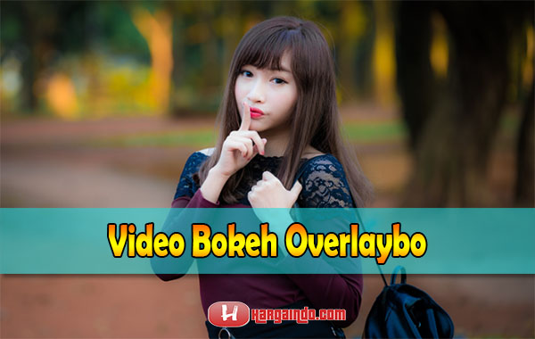 Kompilasi Video Bokeh Overlaybo Full HD Terpopuler 2022