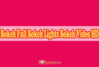 Bokeh Full Bokeh Lights Bokeh Video HD Download